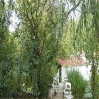 Las mejores ofertas de Molino La Flor Jimera De Líbar